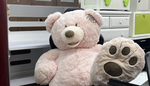 ▽コストコ、特大クマをお買取りさせていただきました！！